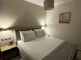 Downtown Nest