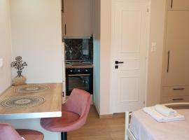 Angelos Apartment，位于瓦西的带停车场的酒店