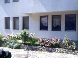 Elsas Residence