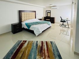 Departamento Mina La Negrita，位于伊达尔戈德尔帕拉尔的公寓