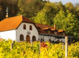 Hotel a vinařství Sádek，位于Kojetice的酒店