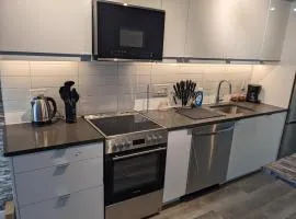 Beautiful 2 Bedroom Apt in downtown silverspring