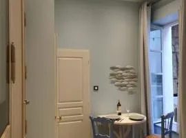 Studio de charme climatisé centre de Pézenas, animaux admis - FR-1-607-212