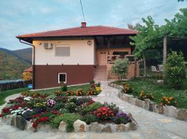Apartmani Ružina staza，位于鲁德尼克的酒店
