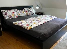 Quadrate Hostel Mannheim Z4 Denkmalschutz，位于曼海姆的酒店