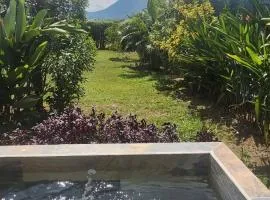 La fortuna cabañas Kwepal vista al volcan Arenal