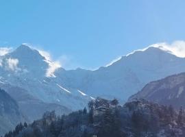 Swiss Alpine view apartment，位于因特拉肯的别墅