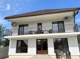 Casa Natalia，位于Chişcău的酒店