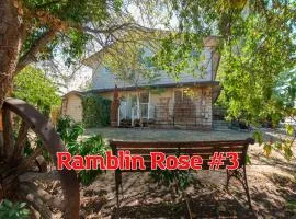 SQ Ramblin Rose 3