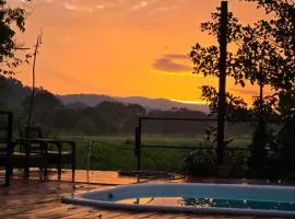 Junglehouse Matapalo