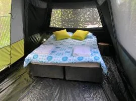 Trees Rd Glamping