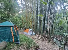 Campamento equipado de bosque