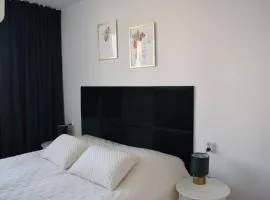 Apartament Teatralny - Komfort w Sercu Miasta Klimatyzacja