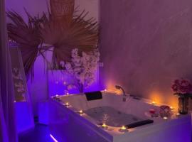 BALI SPA détente à deux à 5 minutes de Tours centre，位于图尔的酒店