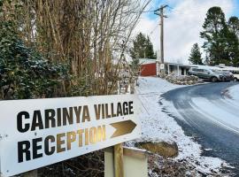 Carinya Village Jindabyne，位于金德拜恩的酒店
