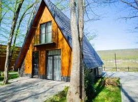 Aynur Forest A-Frame Houses