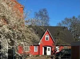 Ostseedomizil "Ankerbuk", Ferienwohnung Möwe