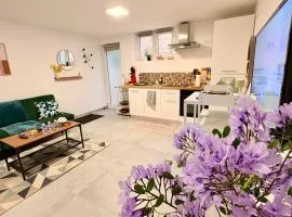 Cocon urbain , bel appartement entièrement équipé, entrée privée, parking