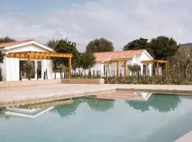 IMAGO Houses - Private Pool - Douro Valley - by MET