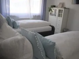 Große FeWo in zentraler Lage in Tiengen