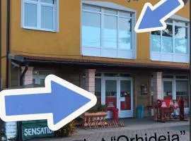 Studio Apartman Orhideja