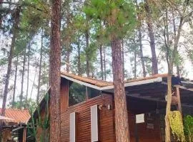 Cabana em Itu-SP Chalé Veraneio Camping Carrion