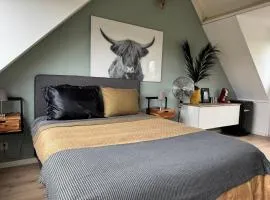 Loft met veel zonlicht