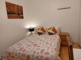 The Galaxy，位于沃金厄姆的酒店