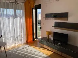 Sears Residence Apartments