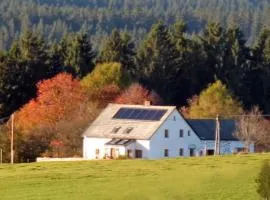 Retreat in the Bohemian Forest