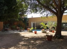 villa arborée ngaparou