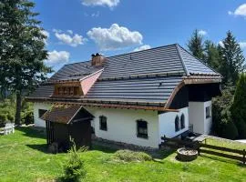 Schwarzwald-Villa mit Indoor-Pool