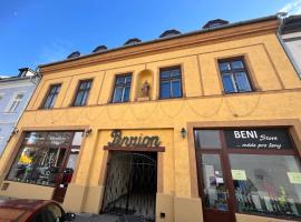 Penzion V Centru，位于普罗斯捷约夫的酒店
