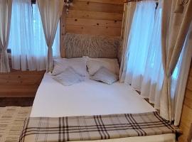 Cabana Plaiul Bucovinei，位于坎普朗莫道尼斯的别墅