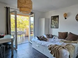 T2 Résidence Dolce & Vita C4 vue mer et piscine