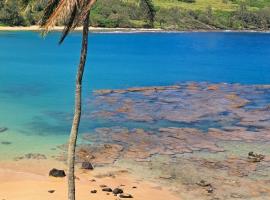 This is it! Dreamy Beach, Stunning Views, Awesome Location，位于Kilauea的酒店