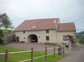 Gîte Vosges : nature, cheminée, animaux acceptés - FR-1-583-379