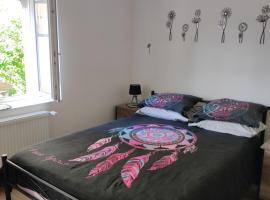 Chez Dori Chambre privée，位于Bischheim的酒店