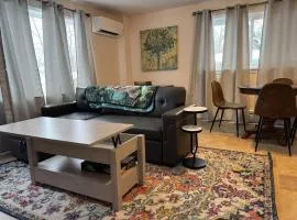 Apt Near Oberlin College