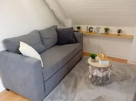 Charmant appartement Saint-Malo