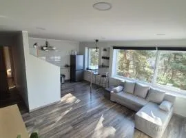 Friendly Apartment
