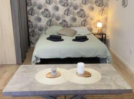 Studio Cosy - proche du centre ville，位于甘冈的酒店