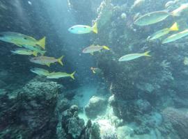 Desert & Sea Haven Marsa Alam，位于马萨阿拉姆的酒店