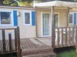 camping la palmeraie chez caro et gui