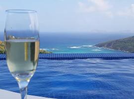 Caribbean Villa with pool and views，位于Port Elizabeth的酒店