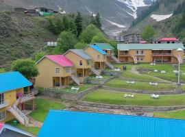 Village Inn Naran，位于纳兰恩的酒店