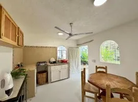 Casa Tropical Starlink