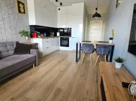 Apartament Ventus Business and Living 46