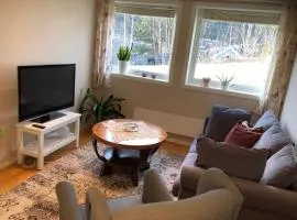 Koselig leilighet i Austbygde med Wifi