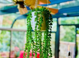 Charming Farmhouse，位于Grafton的酒店